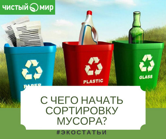 С чего начать сортировку мусора?